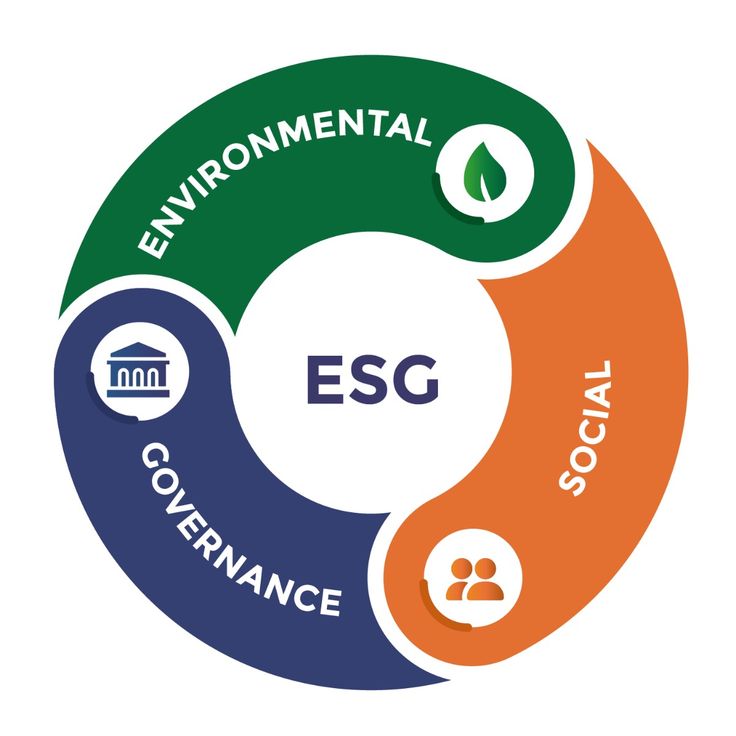 THE ENVIRONMENTAL, SOCIAL, AND GOVERNANCE (ESG) Understanding and Mitigating the Risk